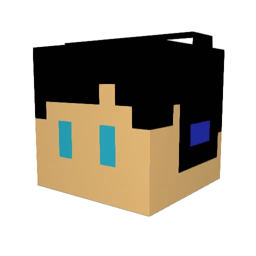 Dolphin1012 Minecraft avatar head, 3D render
