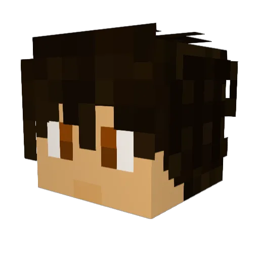 Dolphin117 Minecraft avatar head, 3D render