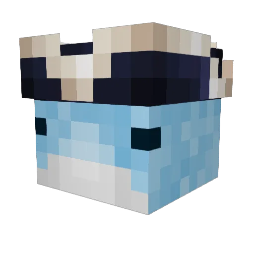 Dolphin27 Minecraft avatar head, 3D render