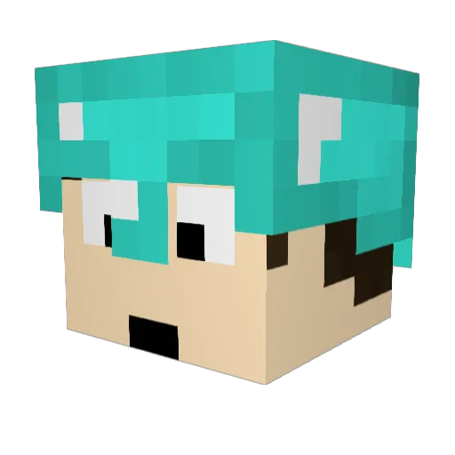 Dolphin77 Minecraft avatar head, 3D render