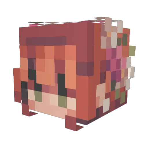 DolphinFin Minecraft avatar head, 3D render