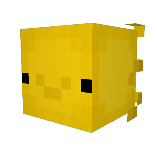DolphinGang2010 Minecraft avatar head, 3D render