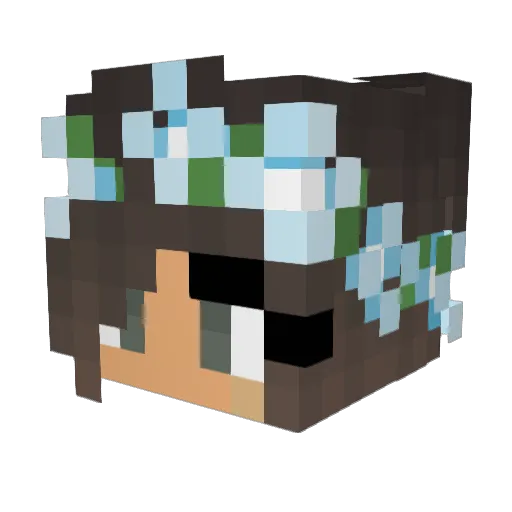 DolphinGirl52 Minecraft avatar head, 3D render