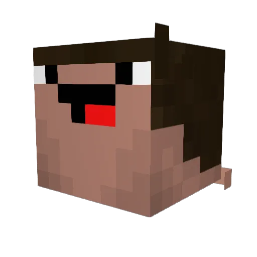 DolphinKing2012 Minecraft avatar head, 3D render