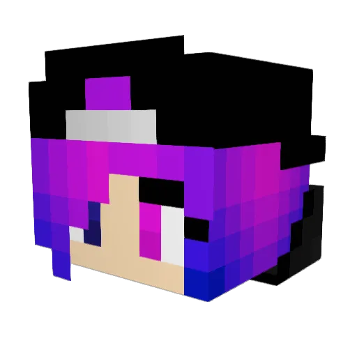 DolphinLuvr2002 Minecraft avatar head, 3D render