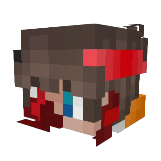DolphinMC_ Minecraft avatar head, 3D render