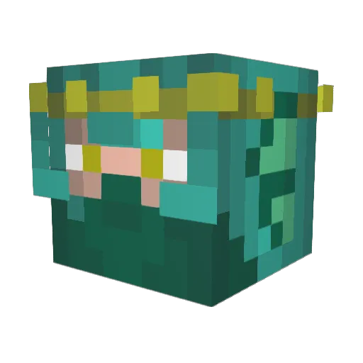 DolphinOfDestiny Minecraft avatar head, 3D render
