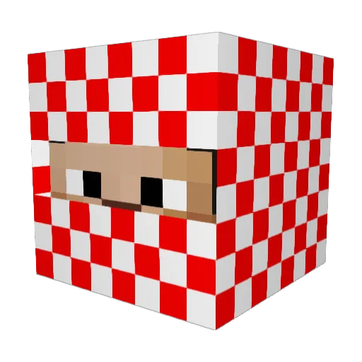 DolphinPenguin Minecraft avatar head, 3D render