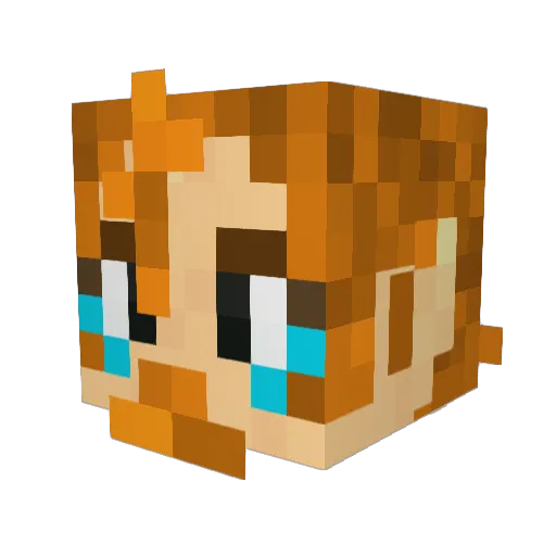 DolphinPlayz Minecraft avatar head, 3D render