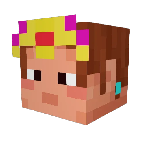 DolphinTamer Minecraft avatar head, 3D render