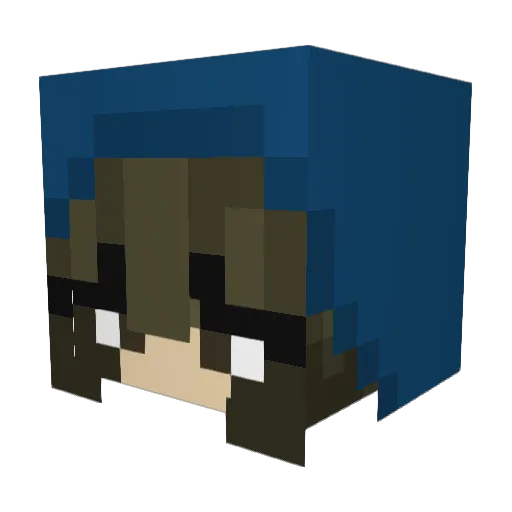 DolphinWhirl Minecraft avatar head, 3D render