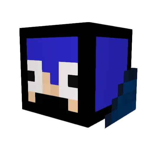 DolphinZ_VN Minecraft avatar head, 3D render