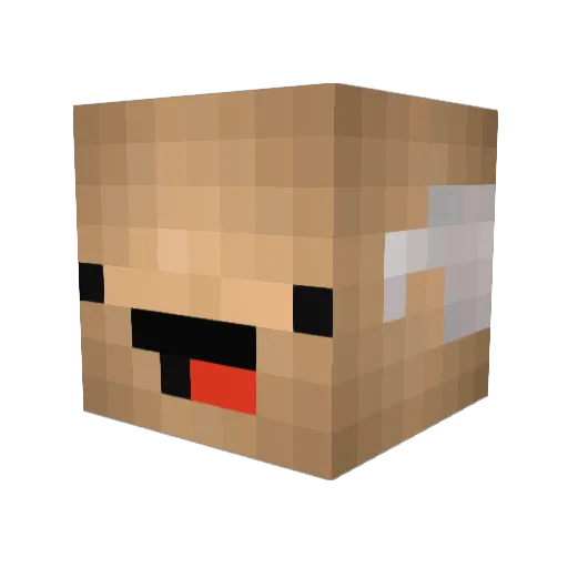 Dolphincopter Minecraft avatar head, 3D render