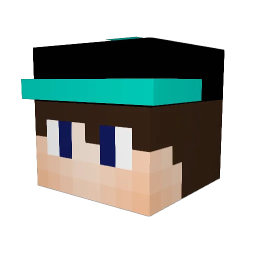 Dolphins_Bucs13 Minecraft avatar head, 3D render