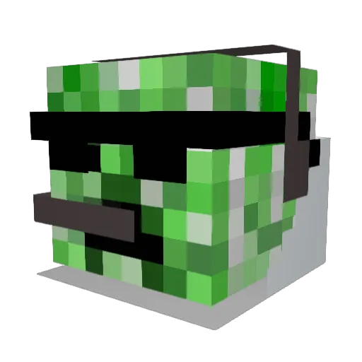 Dolphinsr1 Minecraft avatar head, 3D render