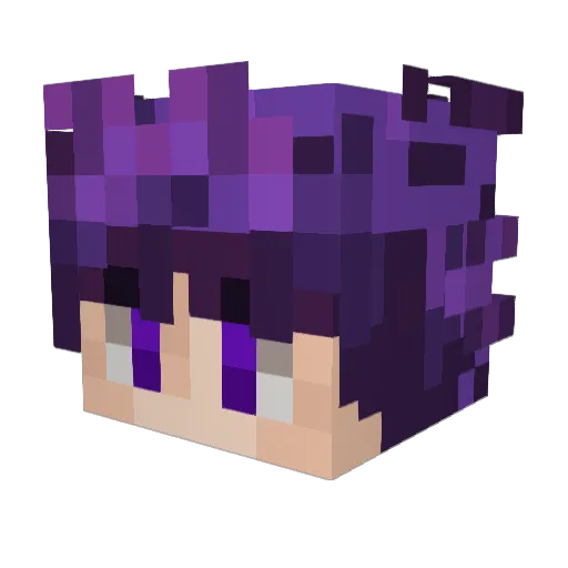 Dolphinxdolphin Minecraft avatar head, 3D render