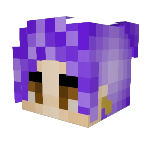 DolqhinMC Minecraft avatar head, 3D render