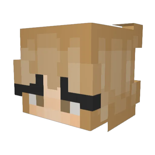 Dolus_ Minecraft avatar head, 3D render