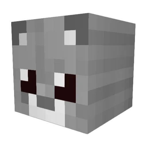 DolyFlacko Minecraft avatar head, 3D render