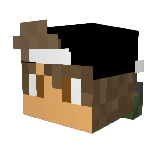 Dom1026 Minecraft avatar head, 3D render