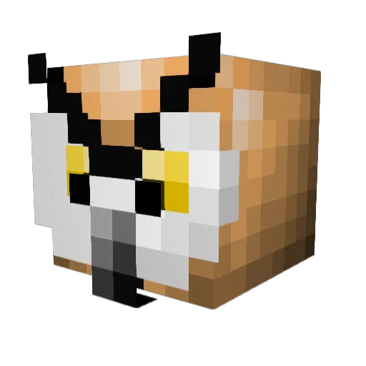 DomGamesYT Minecraft avatar head, 3D render