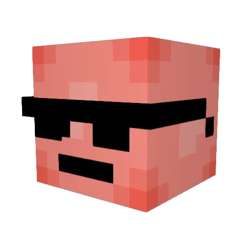 DomGaming33 Minecraft avatar head, 3D render