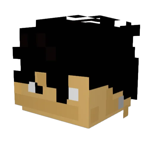 DomPalm24 Minecraft avatar head, 3D render
