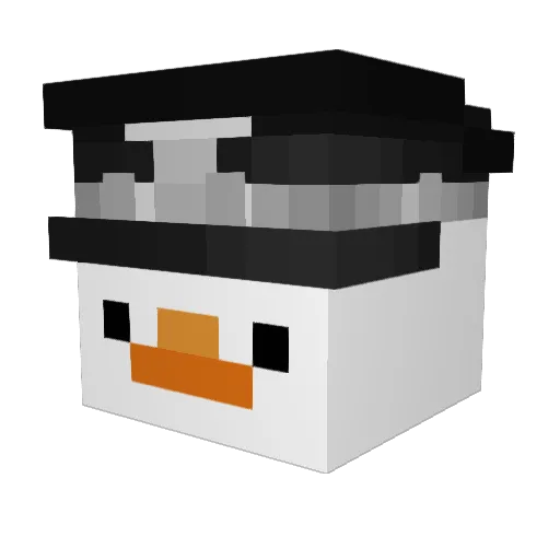 DomRaven11 Minecraft avatar head, 3D render