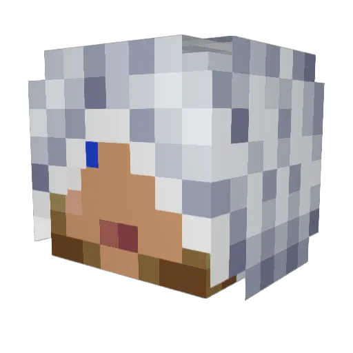 DomT24 Minecraft avatar head, 3D render