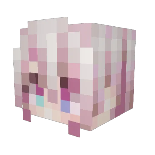 DomTheDragonite Minecraft avatar head, 3D render