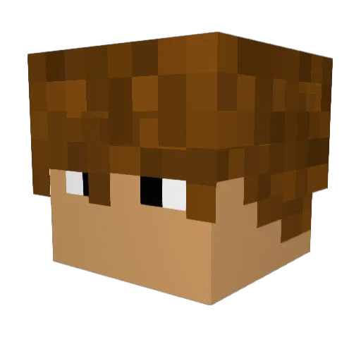 Dom_opp Minecraft avatar head, 3D render