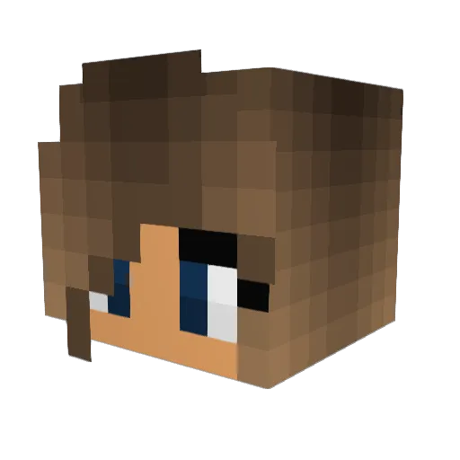 Dom_torretto Minecraft avatar head, 3D render