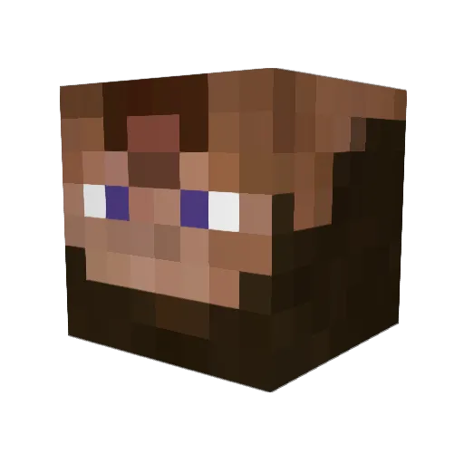 DomaDom_ Minecraft avatar head, 3D render