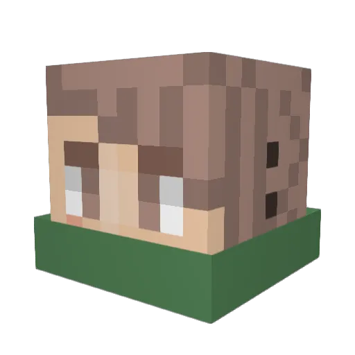 Domadomado Minecraft avatar head, 3D render