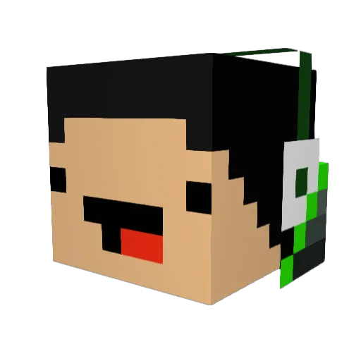 Domain_Whale Minecraft avatar head, 3D render