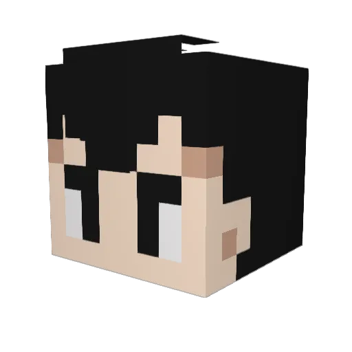 Domaniac Minecraft avatar head, 3D render
