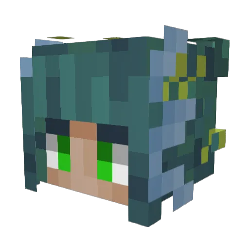 Domburrows37 Minecraft avatar head, 3D render