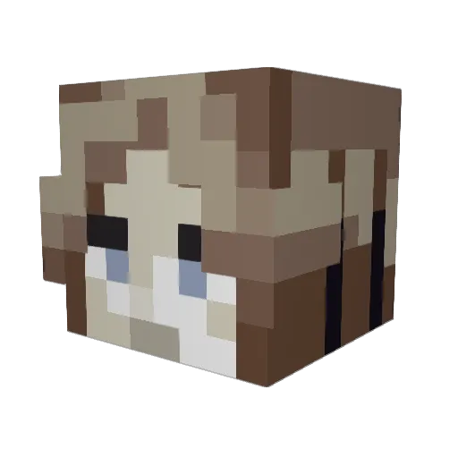 DomekSlayer Minecraft avatar head, 3D render