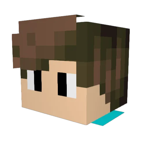 DomenatedD Minecraft avatar head, 3D render