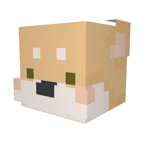 Domeslip Minecraft avatar head, 3D render