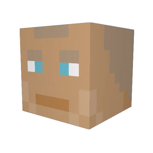 Domesqu Minecraft avatar head, 3D render