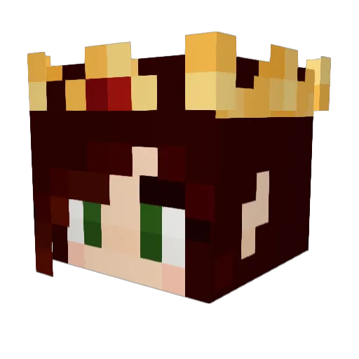 Domesticated_Fae Minecraft avatar head, 3D render