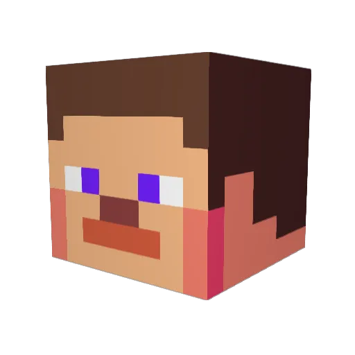 Domestos_PL Minecraft avatar head, 3D render
