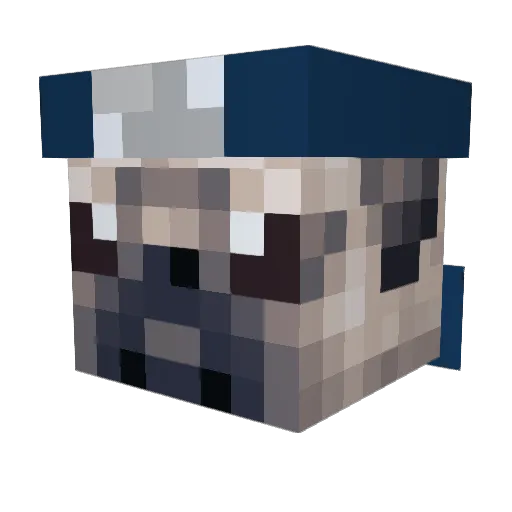 Domgrar Minecraft avatar head, 3D render
