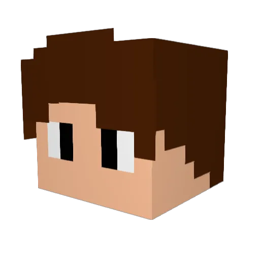 Domgt420 Minecraft avatar head, 3D render