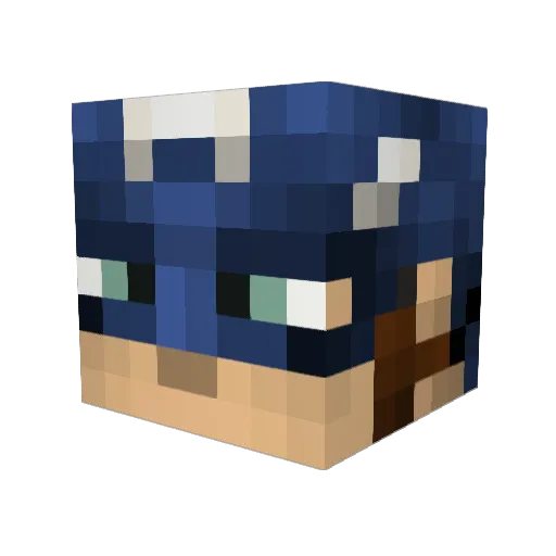 Domi1940 Minecraft avatar head, 3D render