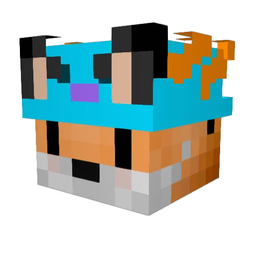 Domi5576 Minecraft avatar head, 3D render