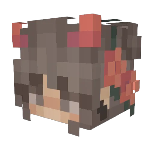 DomiKaz Minecraft avatar head, 3D render