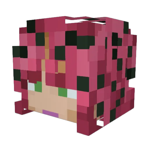DomiN317 Minecraft avatar head, 3D render