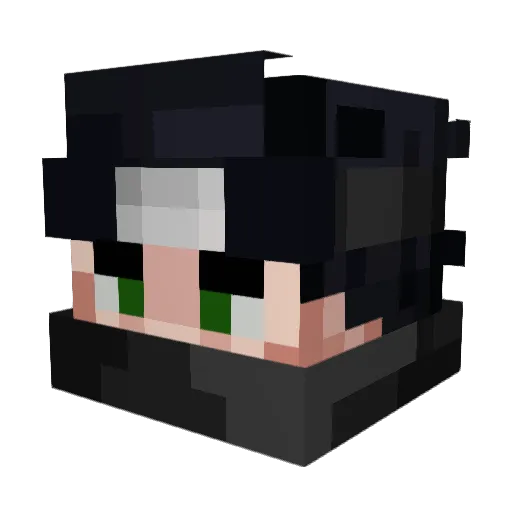 DomiTopG Minecraft avatar head, 3D render